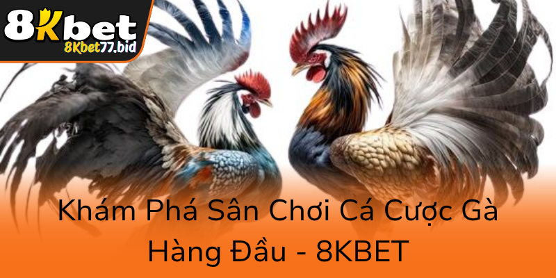 Đá Gà 8KBET – Trải Nghiệm Cá Cược Gà Trực Tuyến Đẳng Cấp Và Uy Tín Nhất Hiện Nay 1 Kham Pha San Choi Ca Cuoc Ga Hang Dau 8Kbet0