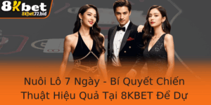 Nuoi Lo 7 Ngay Bi Quyet Chien Thuat Hieu Qua Tai 8Kbet E Du Oan Chinh Xac Hon 1